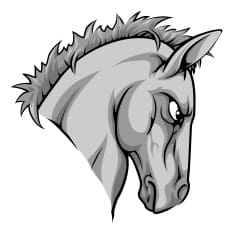 cheval en colere