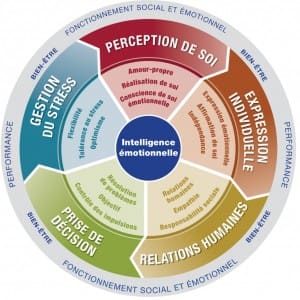 intelligence emotionelle 