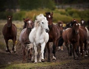 diriger une equipe