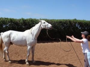 Faire reculer Hippocampe...